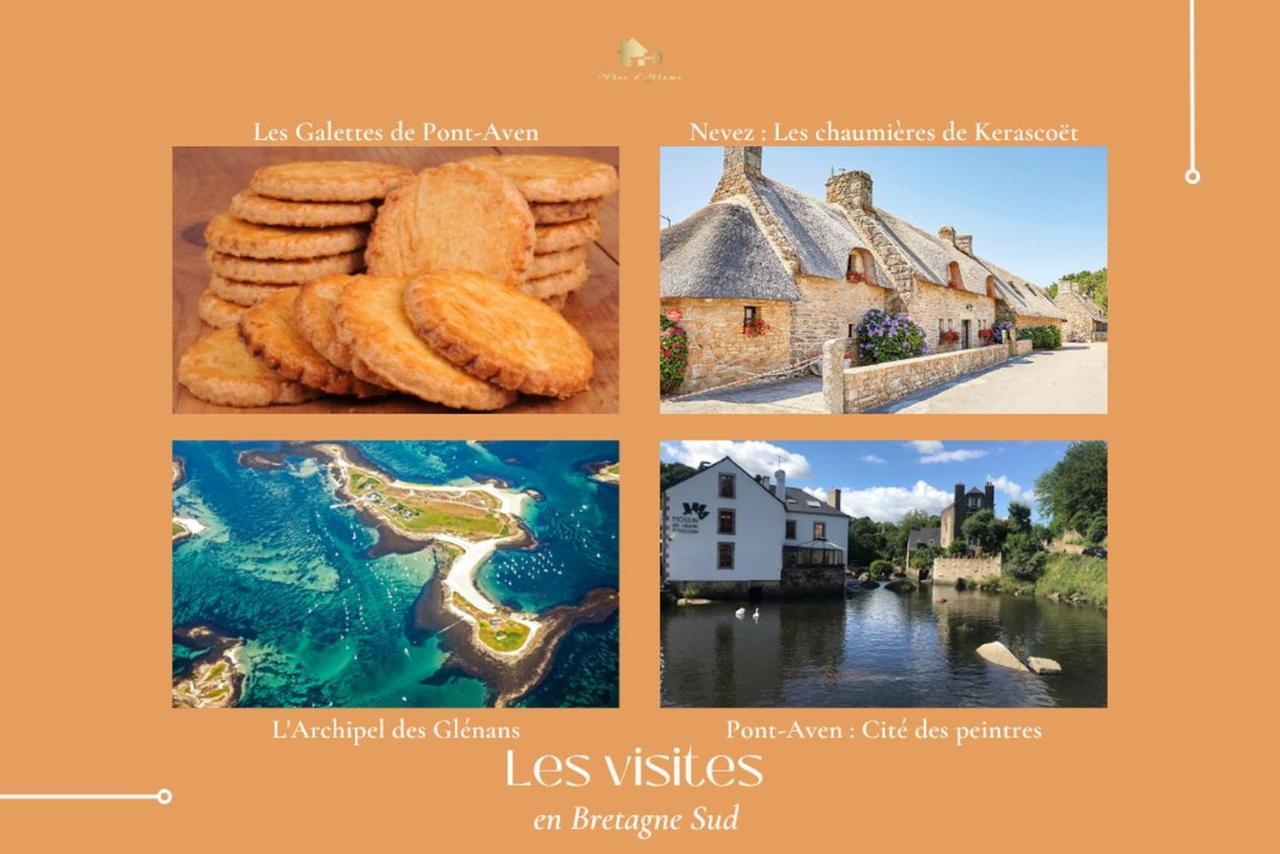 Le Tiguidou, Cosy, Lumineux, 2-6 Pers, Plage 300M Moëlan-sur-Mer Exterior foto